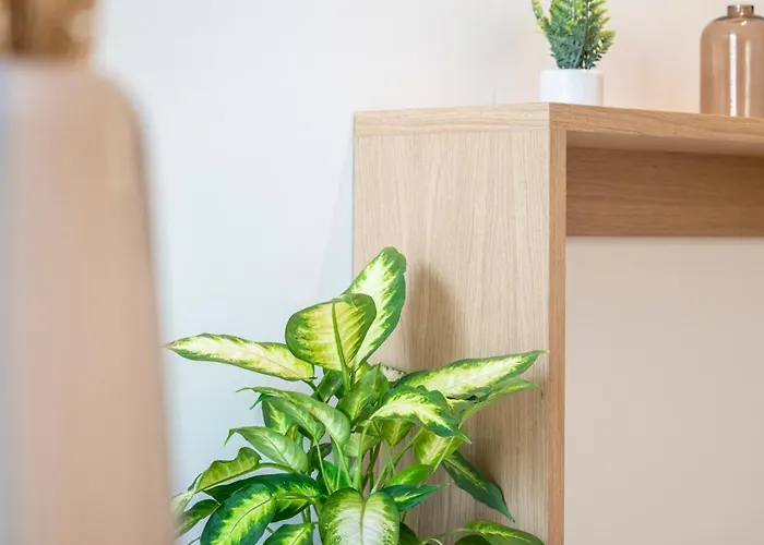 Ξενοδοχείο με διαμερίσματα Unicos 3*