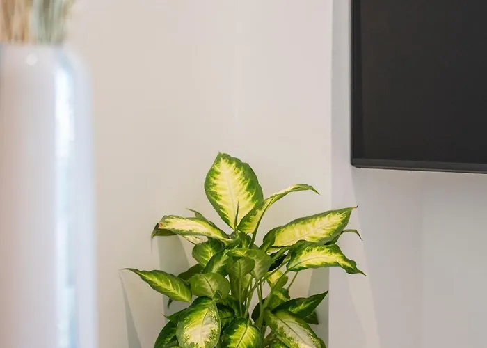 Unicos Ξενοδοχείο με διαμερίσματα