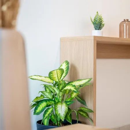 Aparthotel Unicos 3*